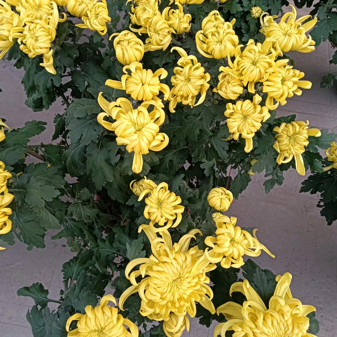 开心过好每一天