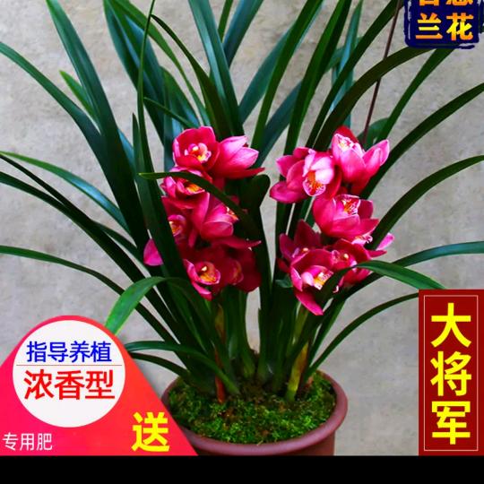 下次再见:)
