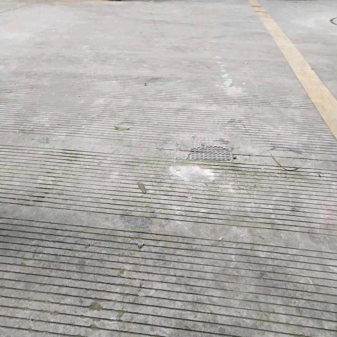 路边学生