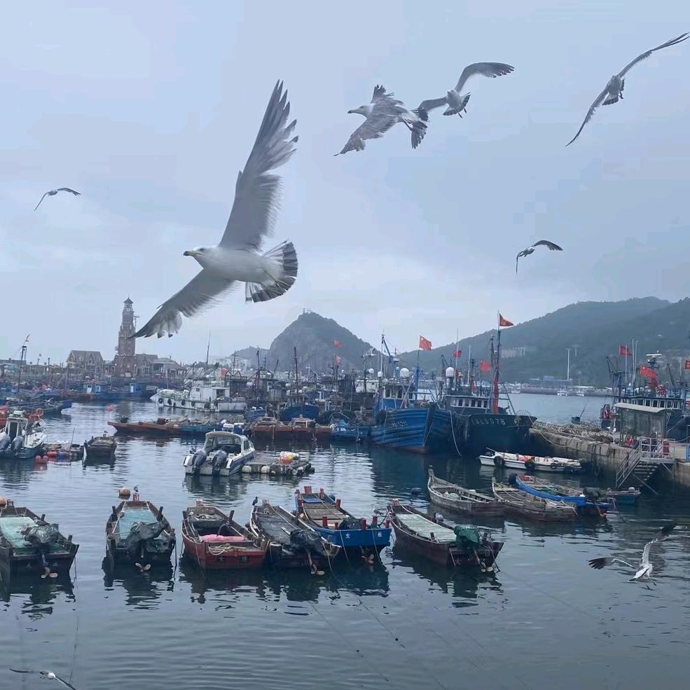 解压杂货铺