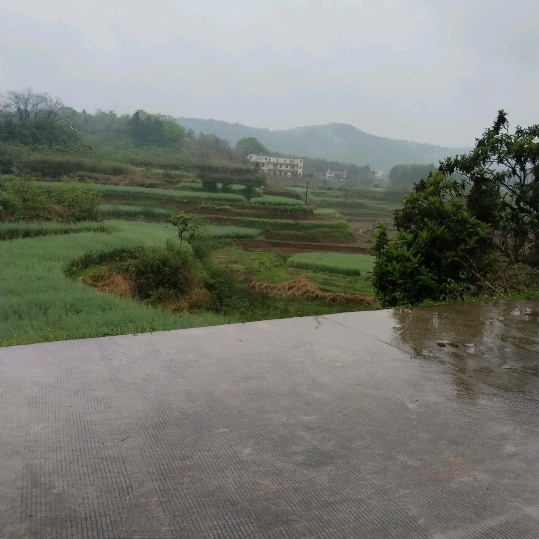 静下听歌