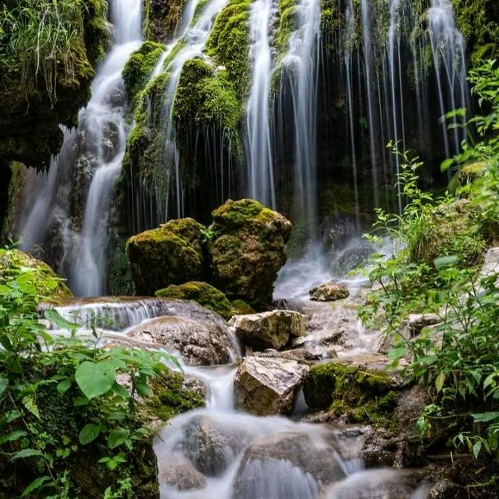 洛阳王府竹海线上推荐官