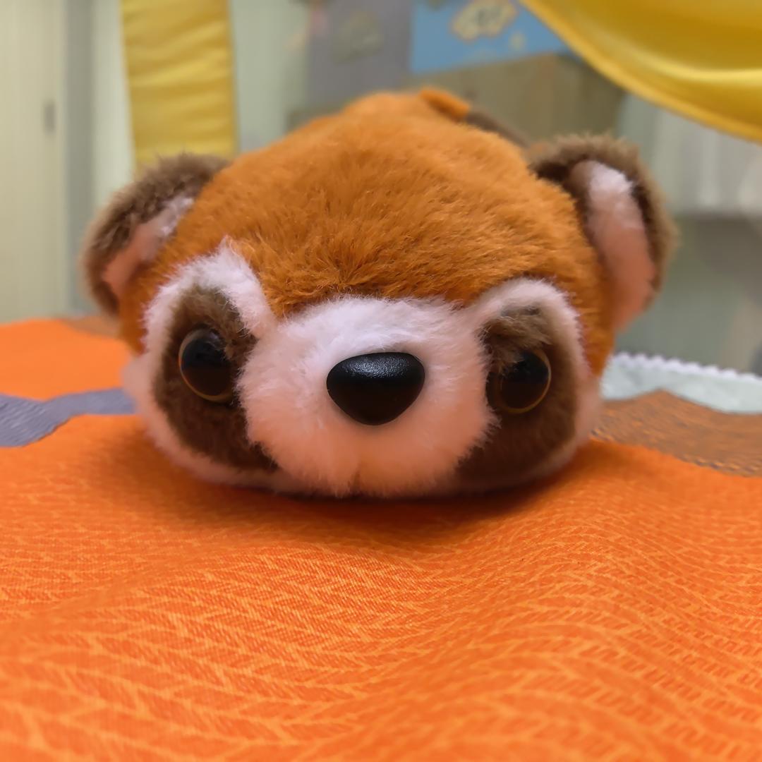 专注力作业训练营