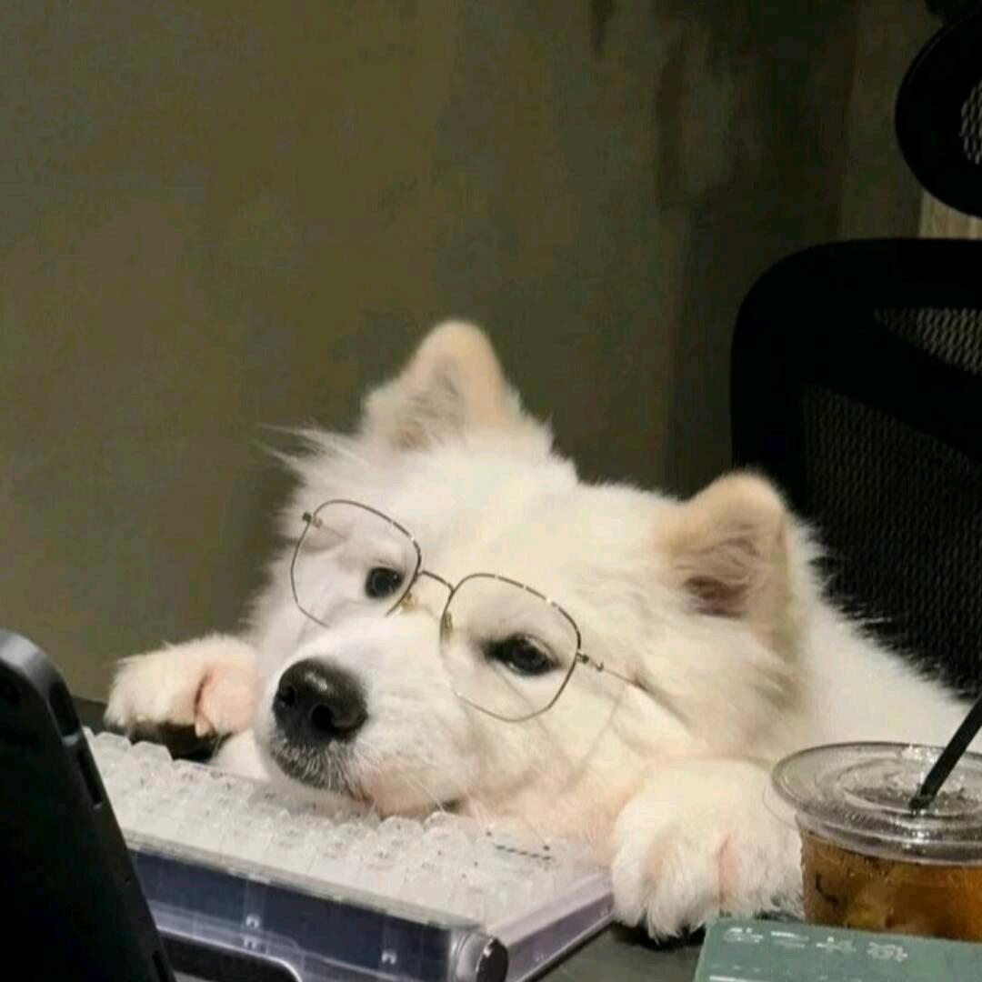 叶若梧桐