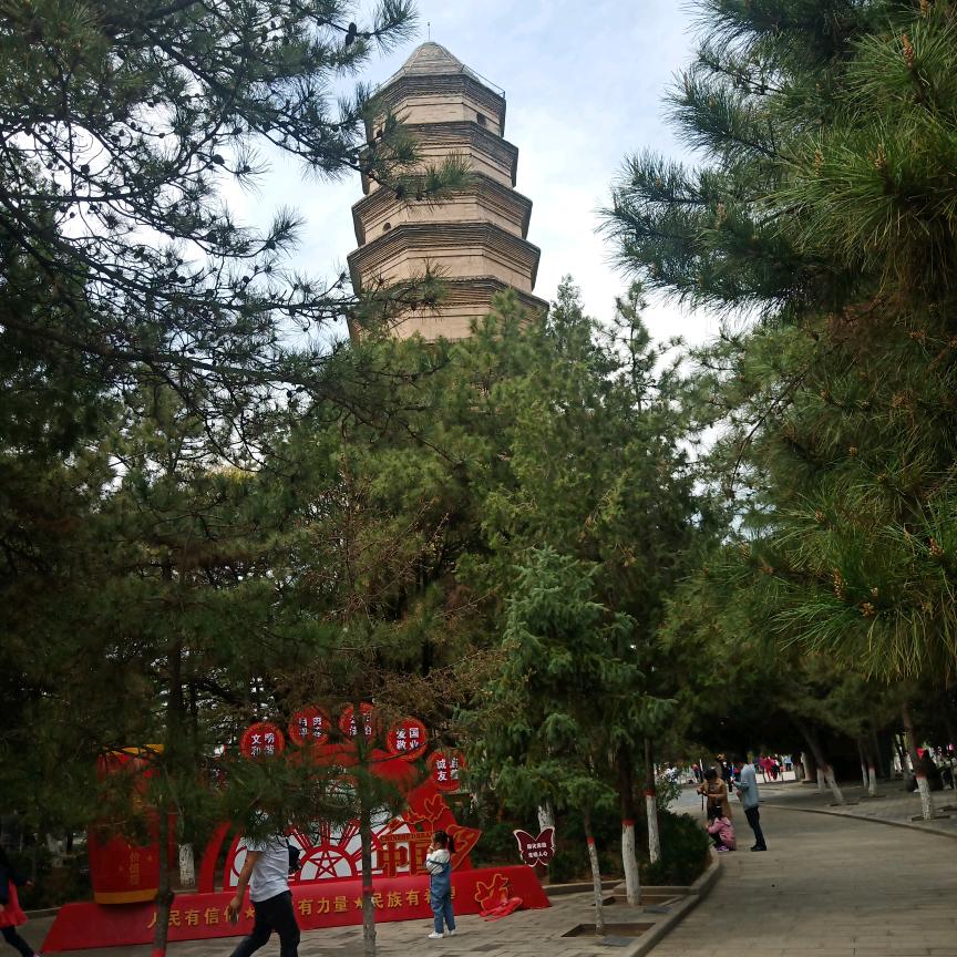 顺其自然