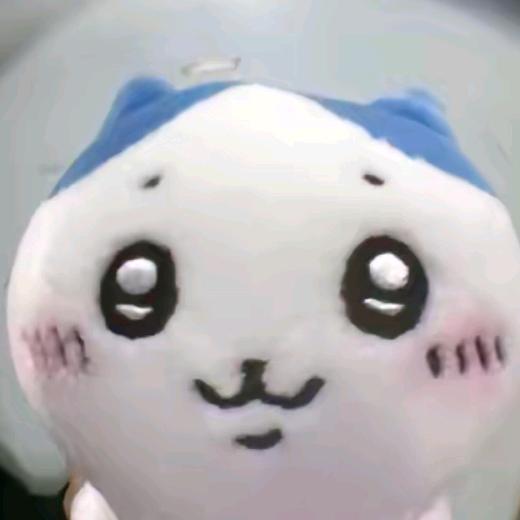 凑凑的