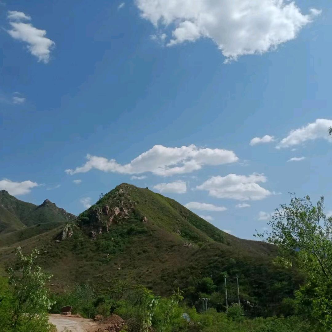 太行观山茶苑