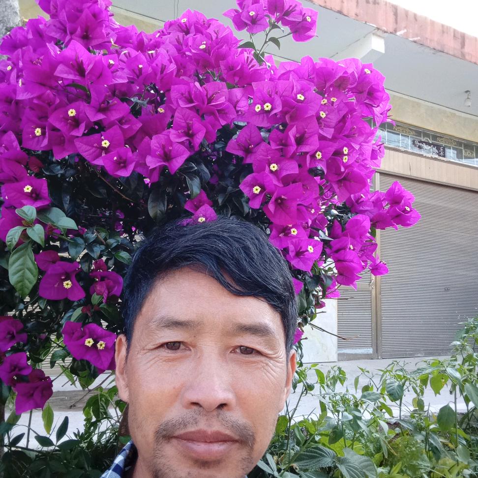 农村钟哥