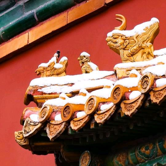 阳光永9