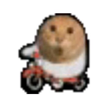 宝山Pogacar