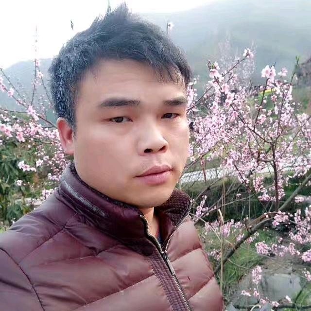 现代装修木屋