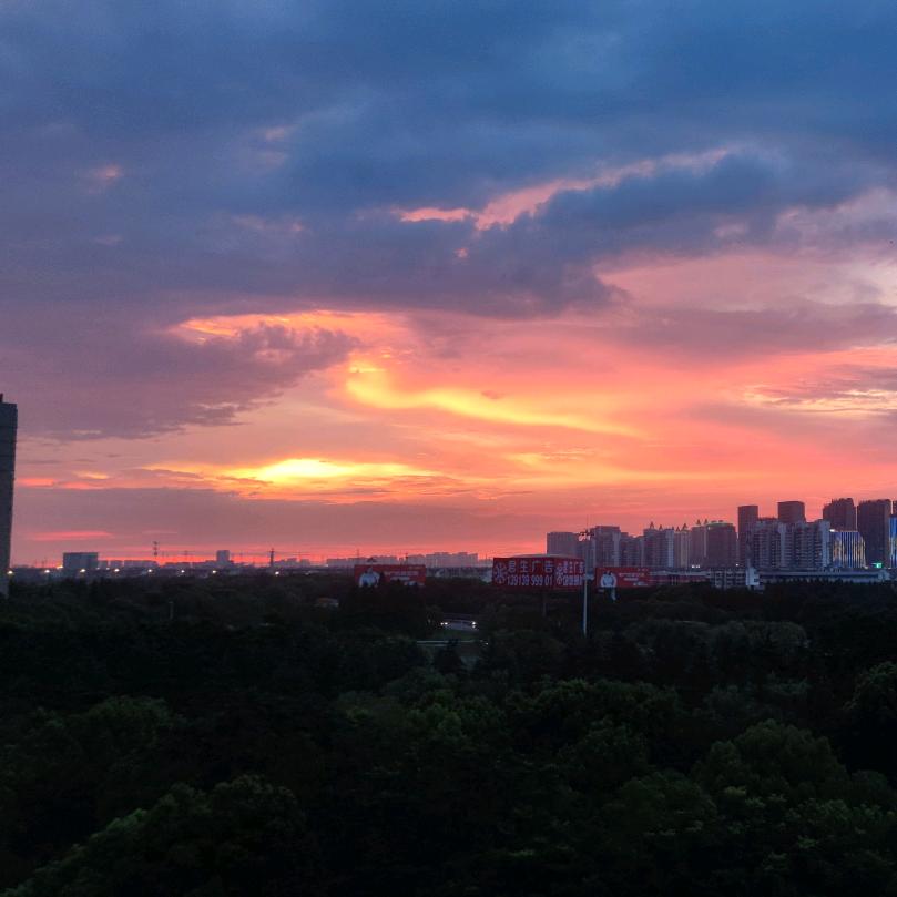 黑鼠警长(三角洲行动)