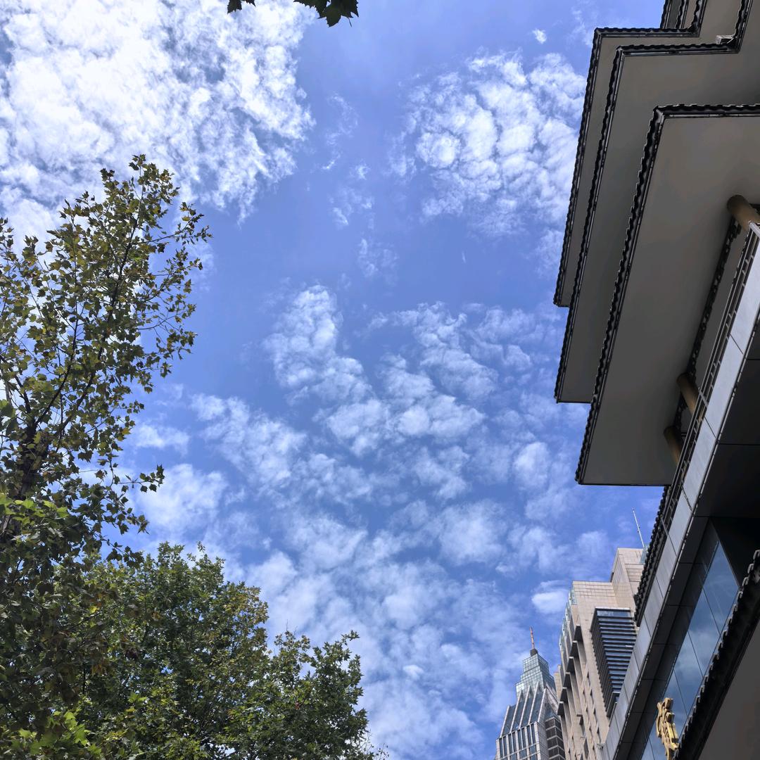 阿加西