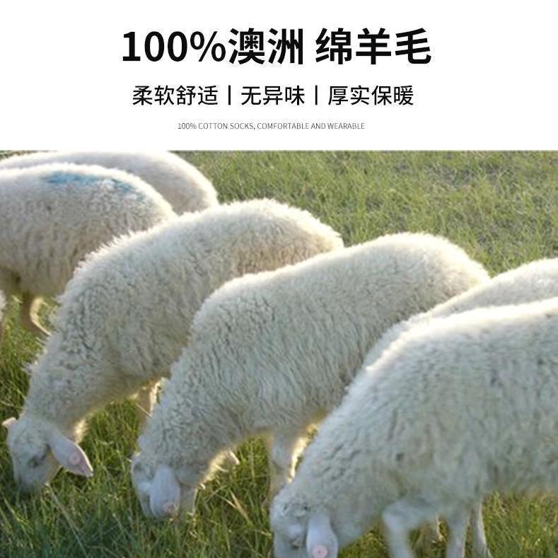 羊羊皮草