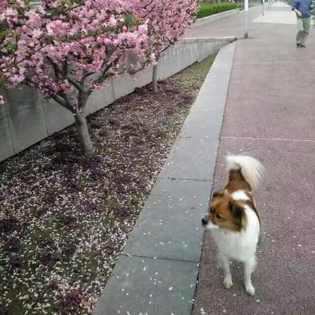 虎虎虎虎虎虎虎虎