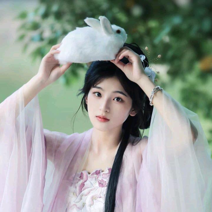 莱莱橱窗
