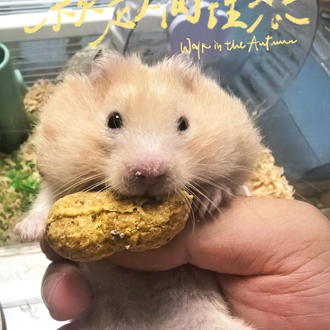 江湖人称郭大爷