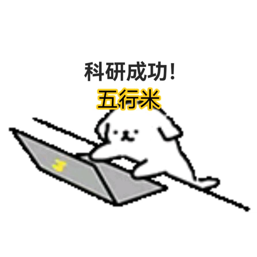 重生之五行🍚鞋垫祝我体考满分版