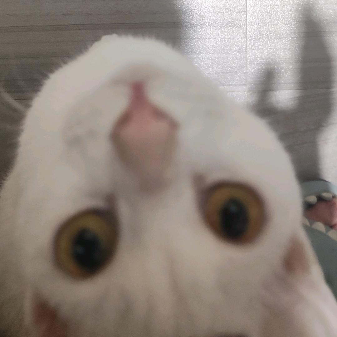 熬夜拜拜