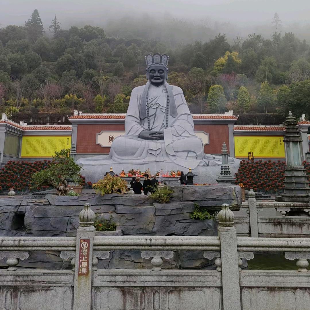 小胖好物推荐。