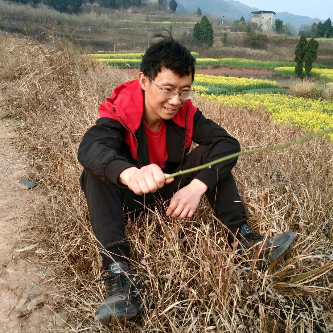 刘德荣