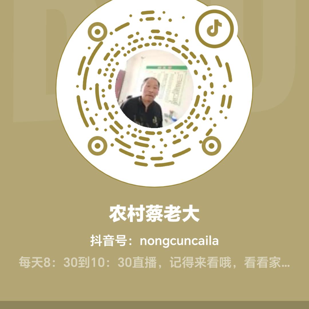 农村蔡老大