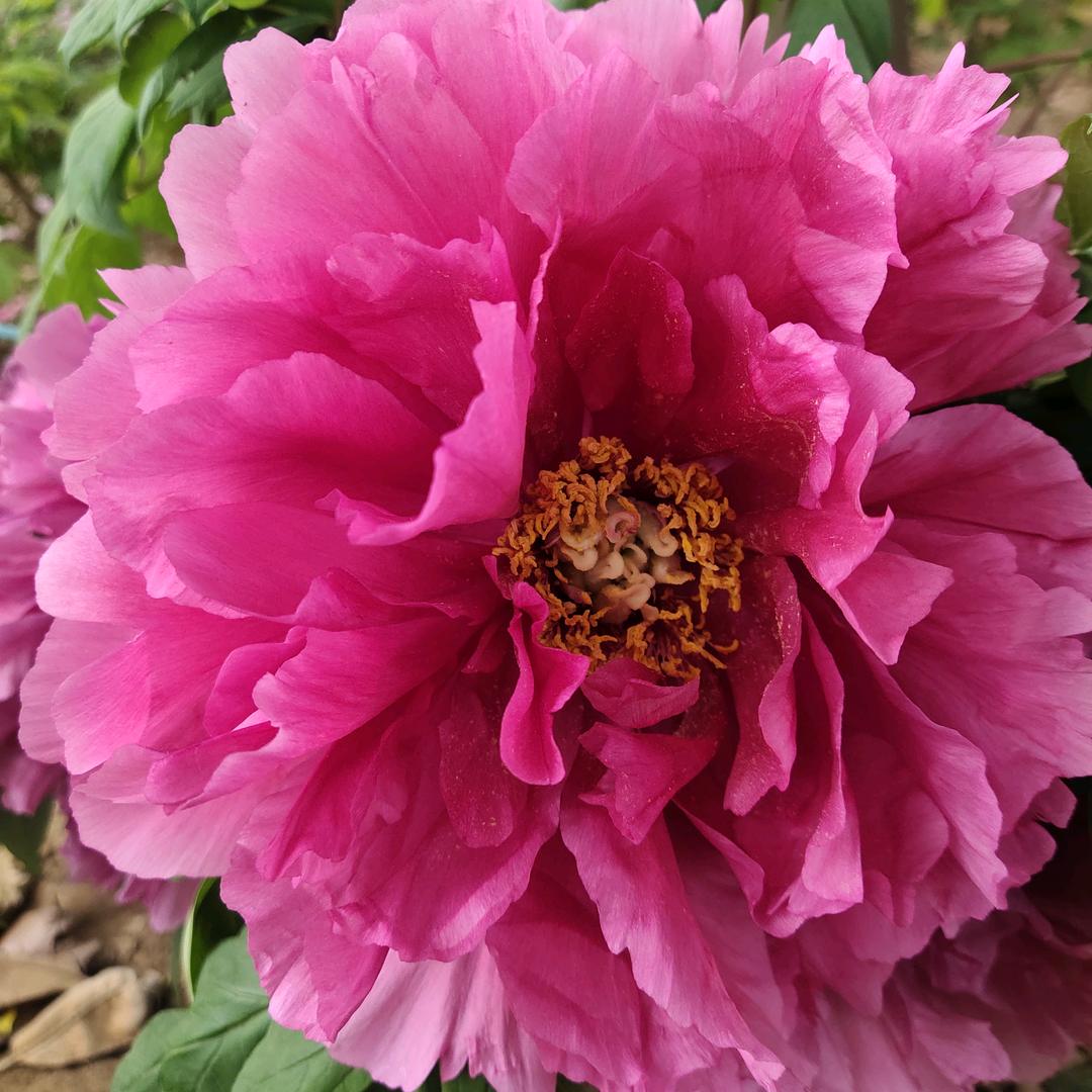 渔富人侯卫丽-6号硝化细菌