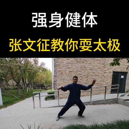 张文征·太极正脉