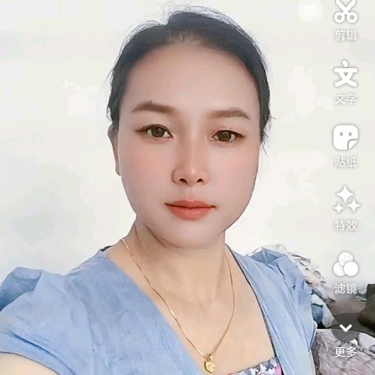 扶摇直上（严）