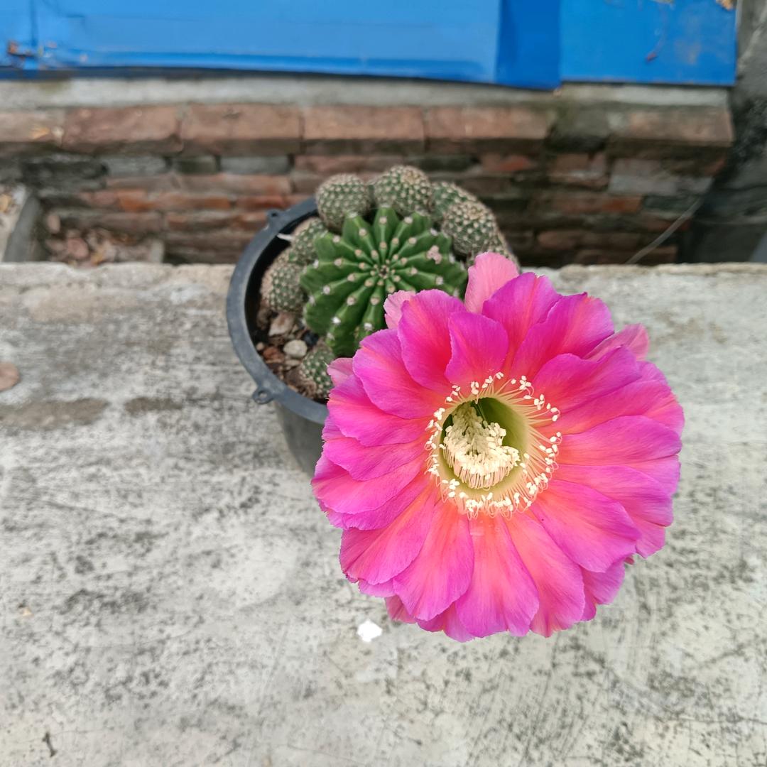 ꧁💞余生꧔ꦿ℘᭄ᩚ꯭ᩚ随心💞᭄᪲ᩚ꯭