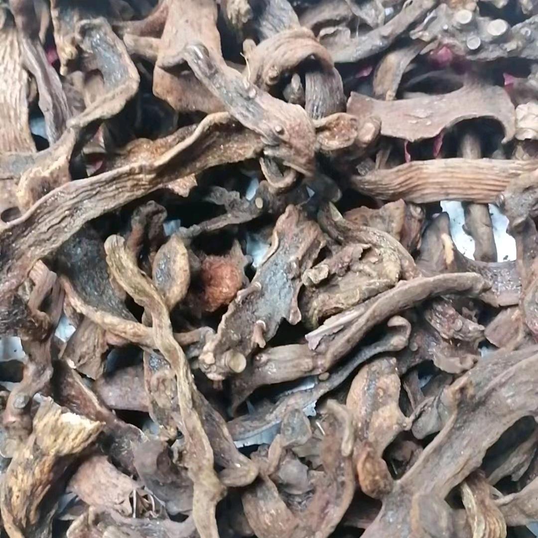 龙 游 天 下: