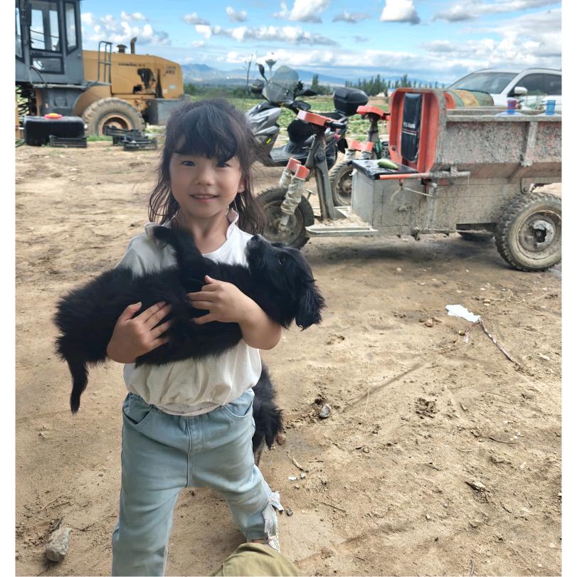 90后酸枣小白犟种王