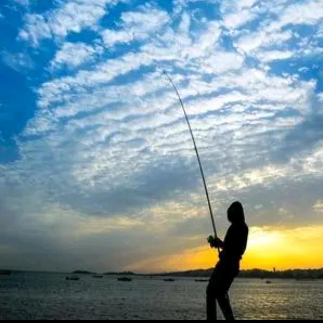 闲来垂钓碧溪上