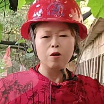 义林
