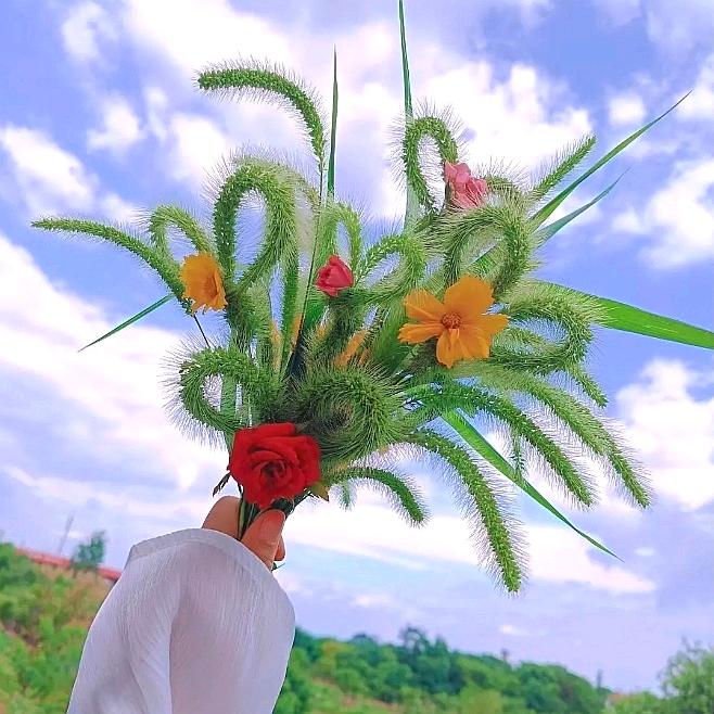 腊梅