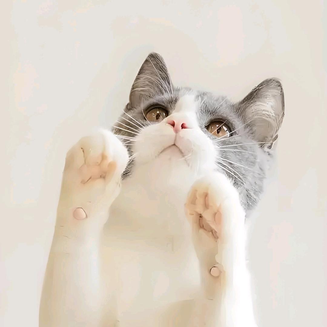 可爱宝贝