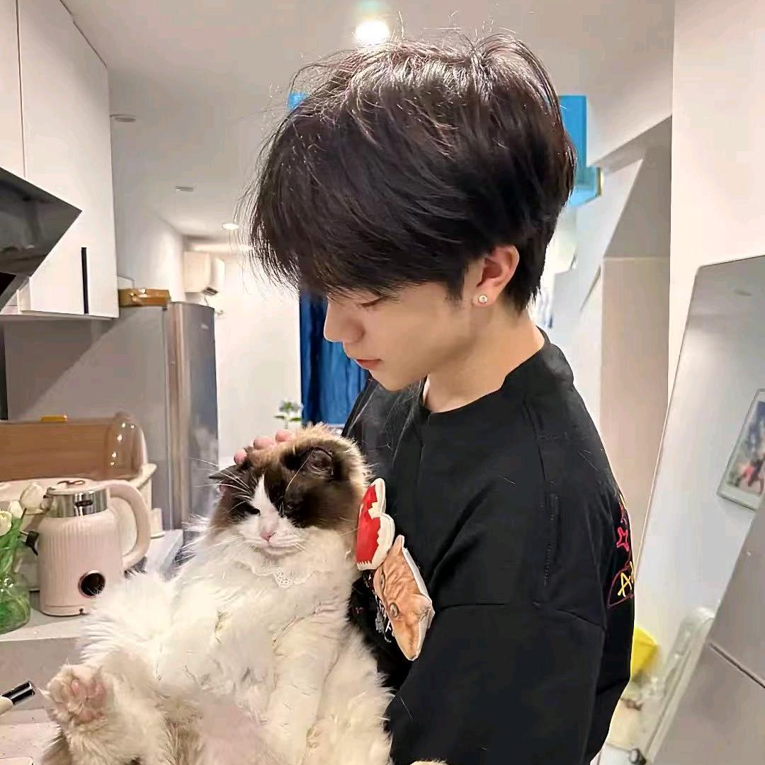 冉而兮走