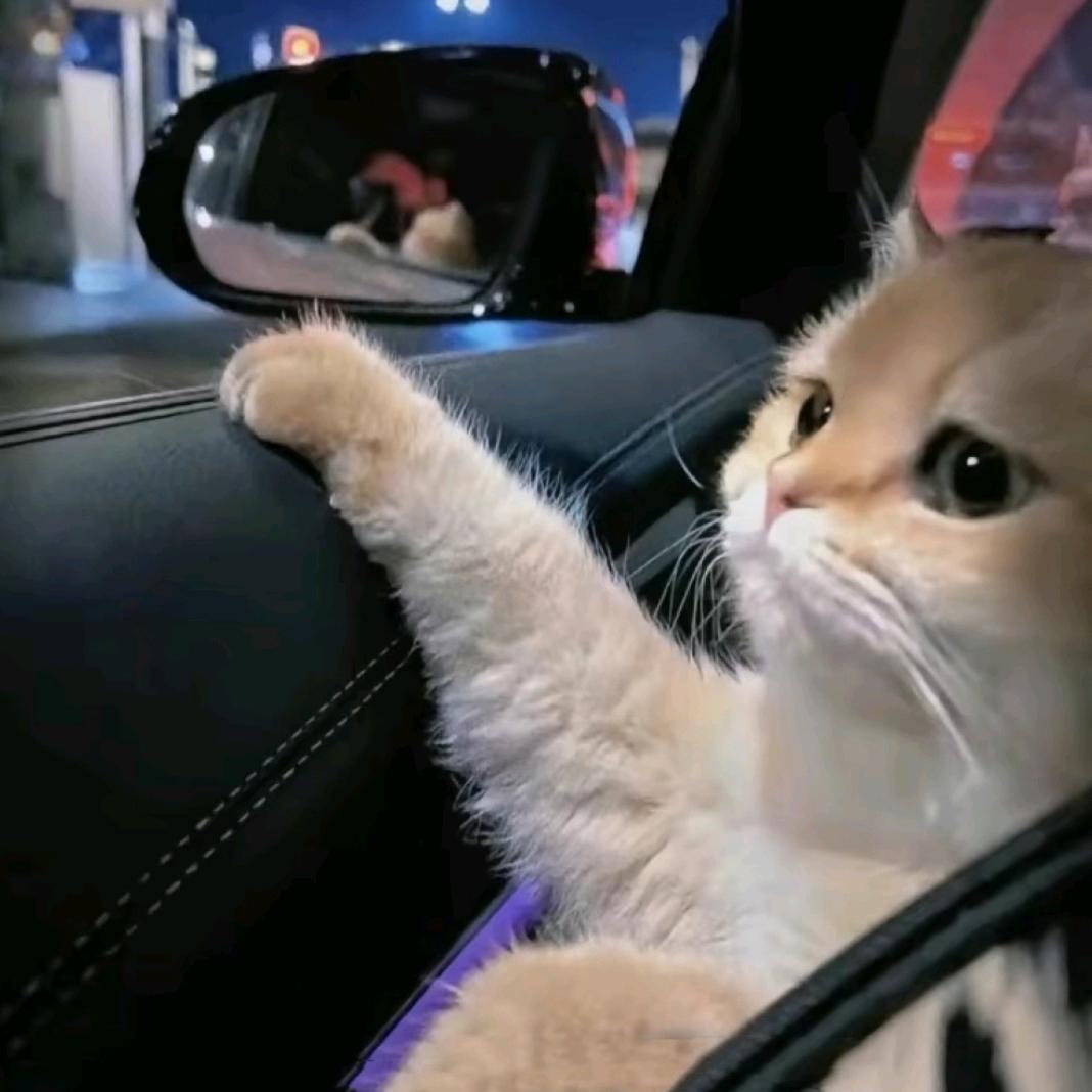 小肖