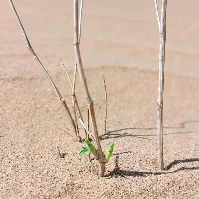 睡觉的时候不困