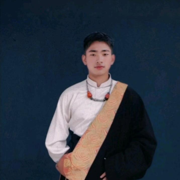 小号藏族小龙🐲