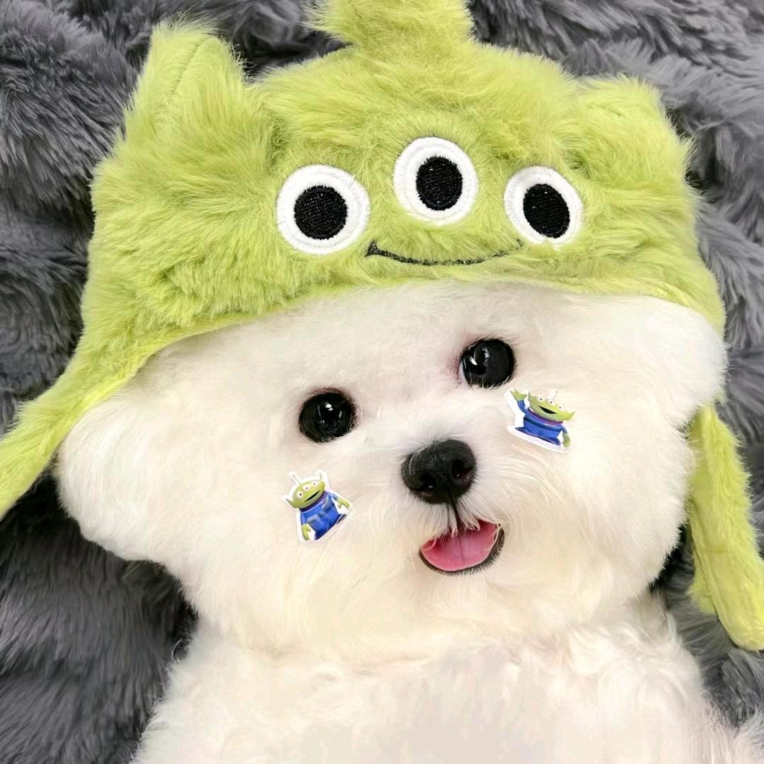 你枕蘑啦啦啦啦