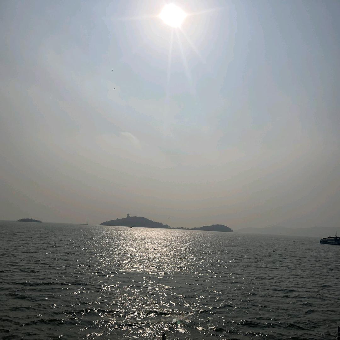 自渡