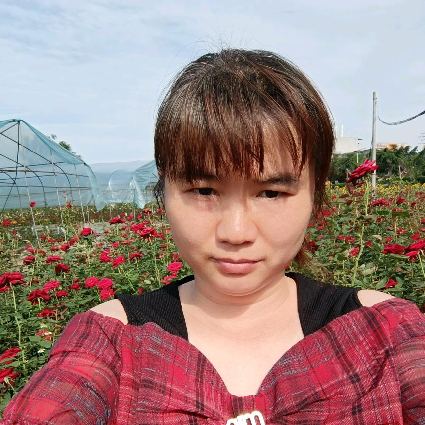 小燕子叽叽喳喳唱歌了