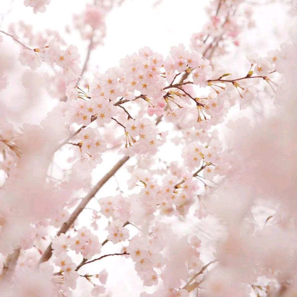 凹凸曼曼游