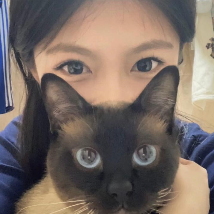 粘人豆包