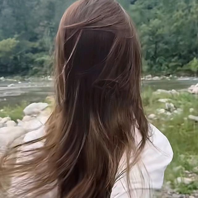 董小董