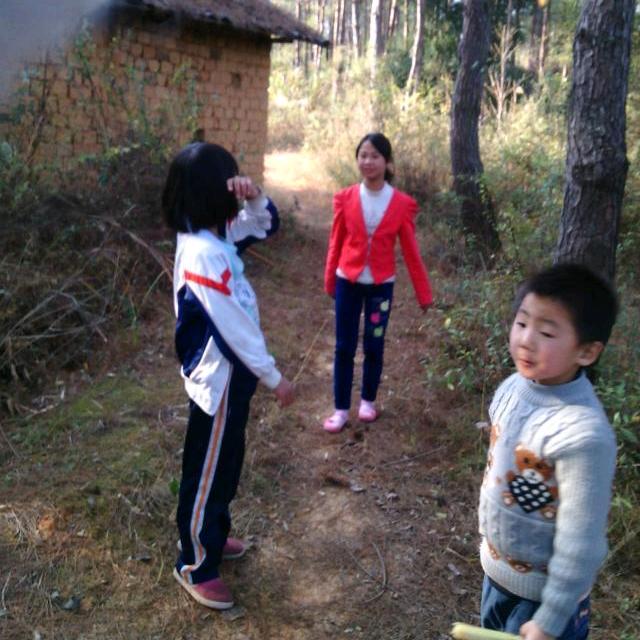 王晓琴（春晓）