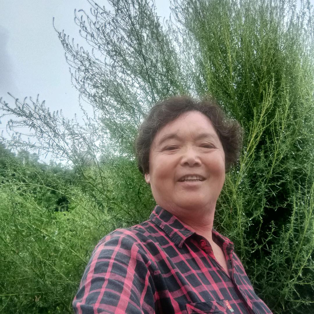 随心而动