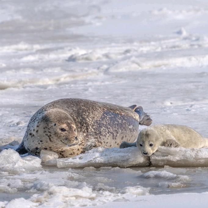 老是大连加油呀