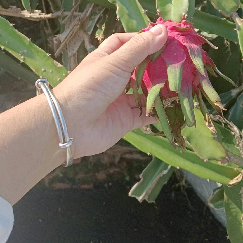 缘分是命中注定